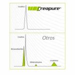 Vitobest Creatine Monohydrate Creapure 500 Gr - Imagen 2