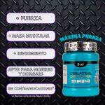 X UP Nutrition Creatine Sello Creapure 300G. Creatina Monohidrato. Producto Vegano con certificación IFS FOOD - Imagen 3