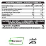 Big Creatina Creapure Kojak 250g - Imagen 5