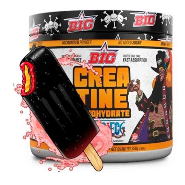 Big Creatina One Piece Creapure 250gr