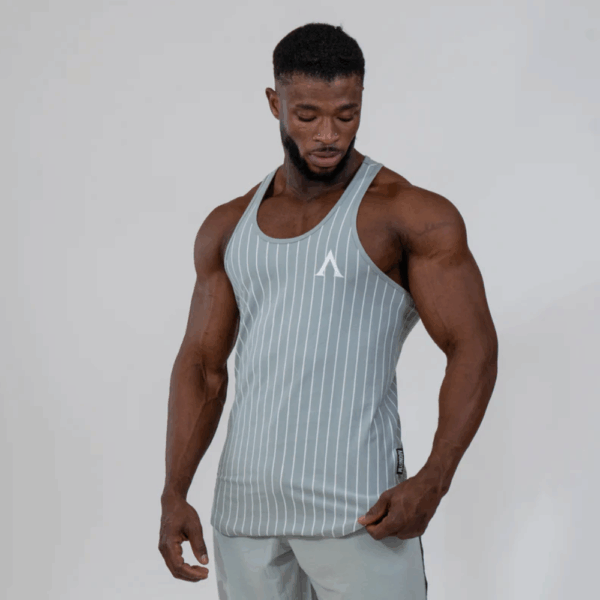 Agongym Stringer Muscle Era Stripped Grey - M