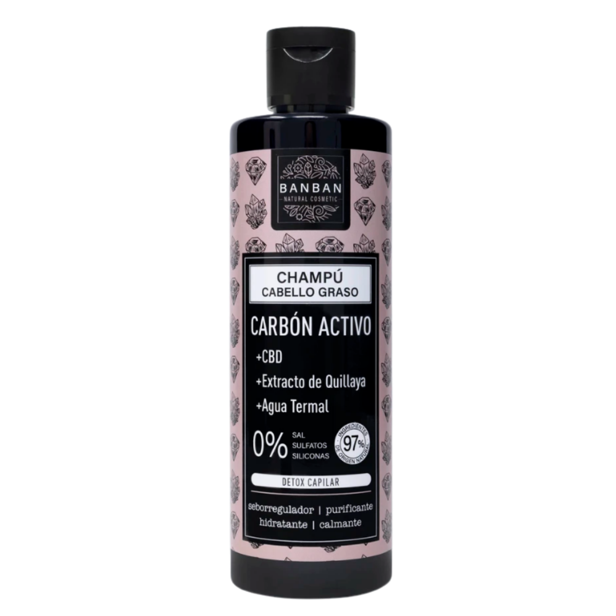 Terra Nova (9) BanBan Champú Carbón Acivo Detox Capilar 250ml - Imagen 1